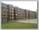 Picture  6