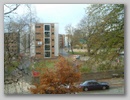 Picture  8