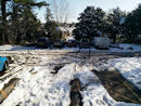 Picture  1